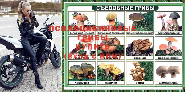 Альфа ПВП Покровск