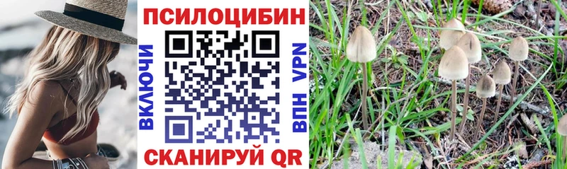 как найти закладки  Новоржев  Галлюциногенные грибы ЛСД 