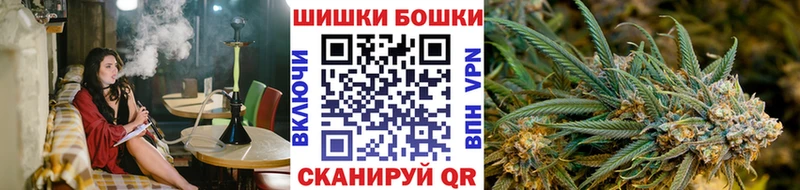 Канабис OG Kush  Новоржев 